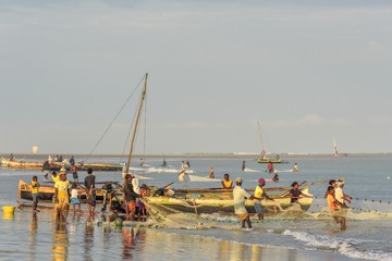 color11.jpg