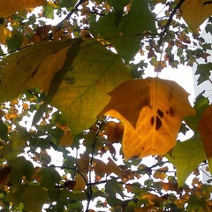 20111026212-2.jpg