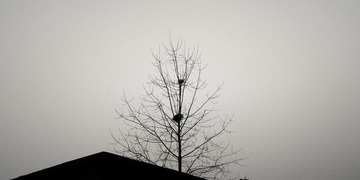 C360_2013-01-09-17-20-07-2.jpg