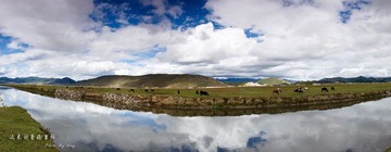 _DSC1727.jpg
