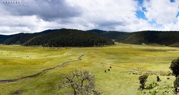 _DSC1860.jpg