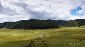 _DSC1871.jpg
