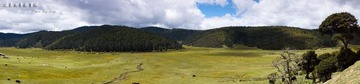 _DSC1876.jpg