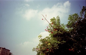 好天气