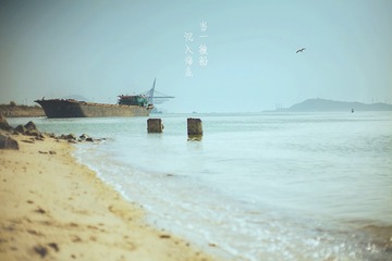 关于海的记忆