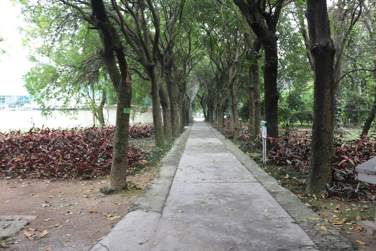 路