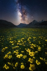 20210603繁花似锦-2