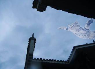 我的天空飞过一只猫
