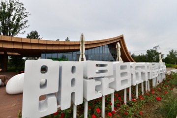 不知道什么花