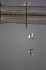 IMG_5123副本.jpg
