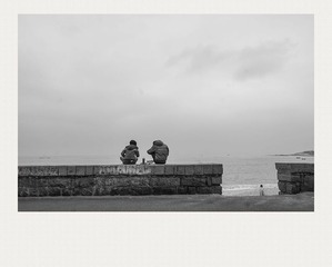 DSC03164x