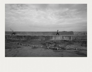 DSC05427_cx