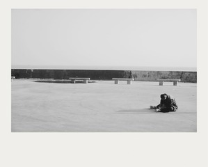DSC06007_x