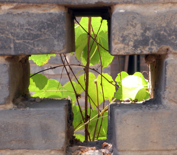 p_large_6SsI_5a5e00012b905c44 - 易匠 - 图虫