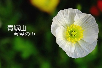 _DSF5788_