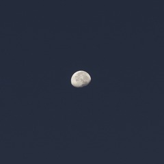 DSC02767_1