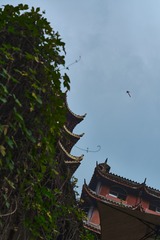 A58B84FD-4BF9-466F-AE3B-6CCC36B13593/L0/001