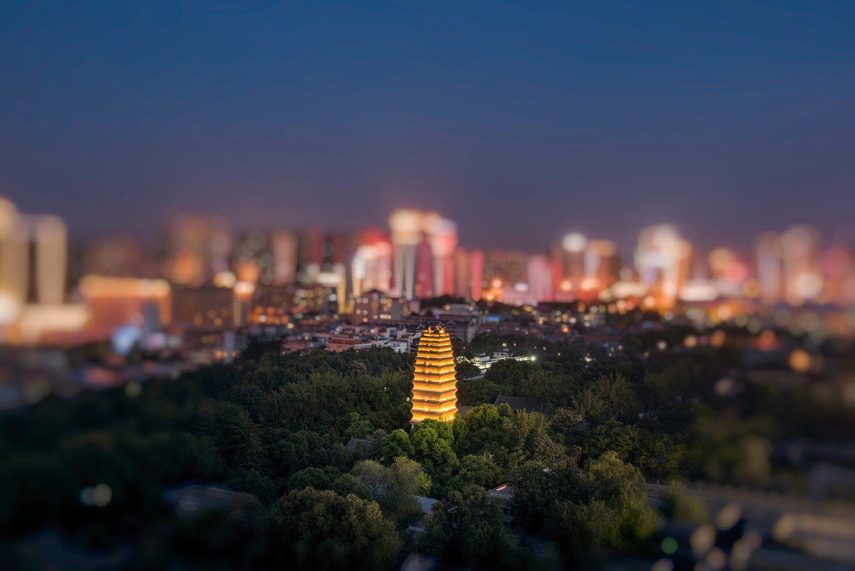 小雁塔夜景