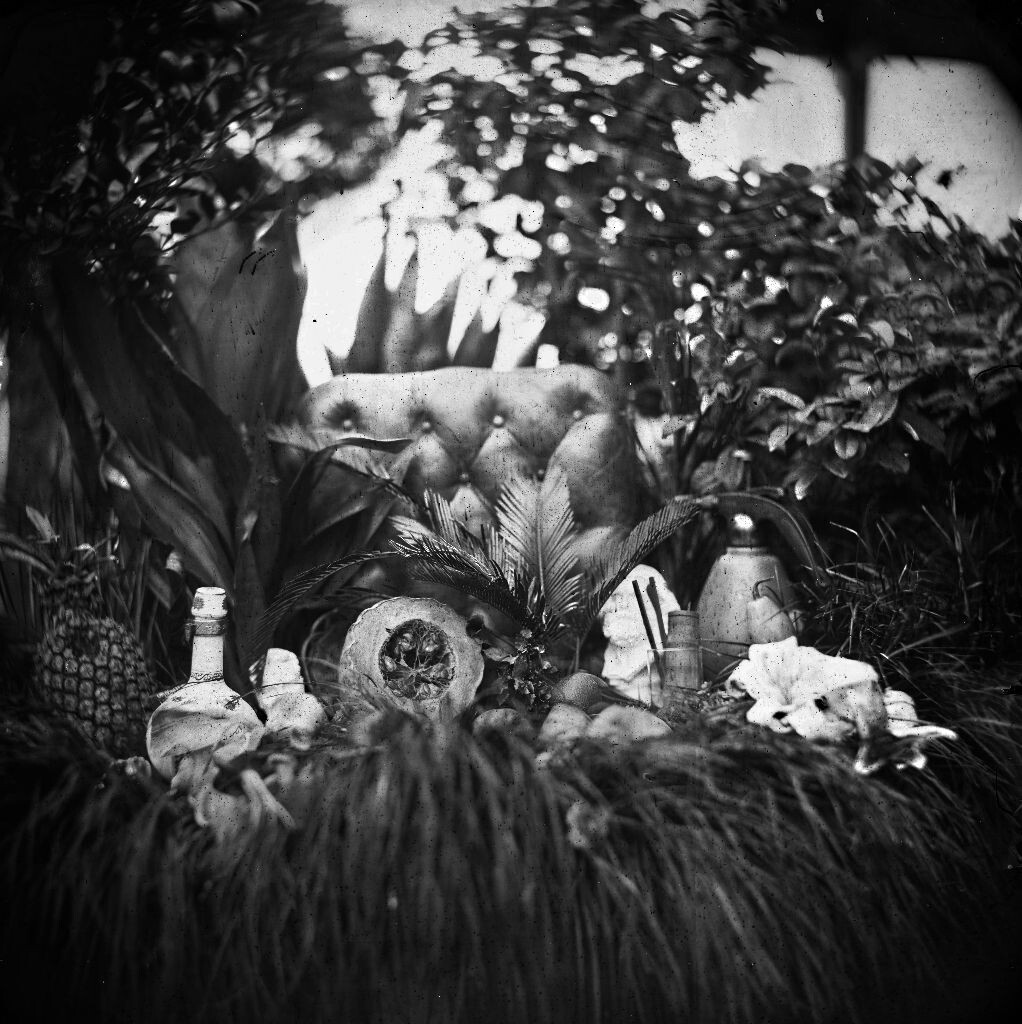 16X16 inch Petzavl