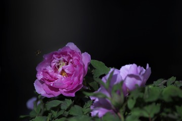 001