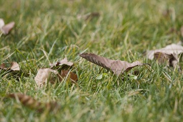 IMG_8027.jpg