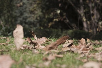 IMG_8035.jpg