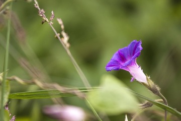 IMG_8045.jpg