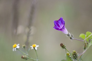 IMG_8050.jpg