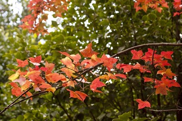 IMG_7951.jpg