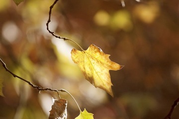 IMG_8116.jpg