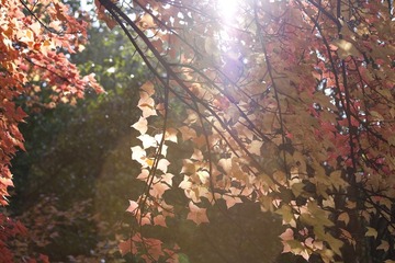 IMG_8154.jpg