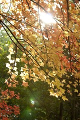 IMG_8156.jpg