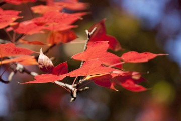 IMG_8197.jpg