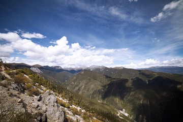 IMG_5474.jpg
