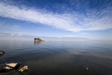 IMG_6139.jpg