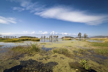 IMG_6253.jpg