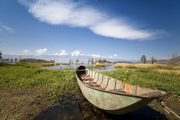 IMG_6264.jpg