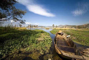 IMG_6267.jpg