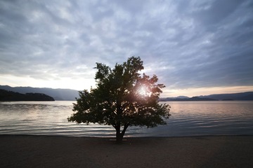IMG_1708.jpg