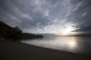 IMG_1729.jpg