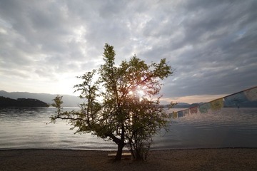 IMG_1733.jpg