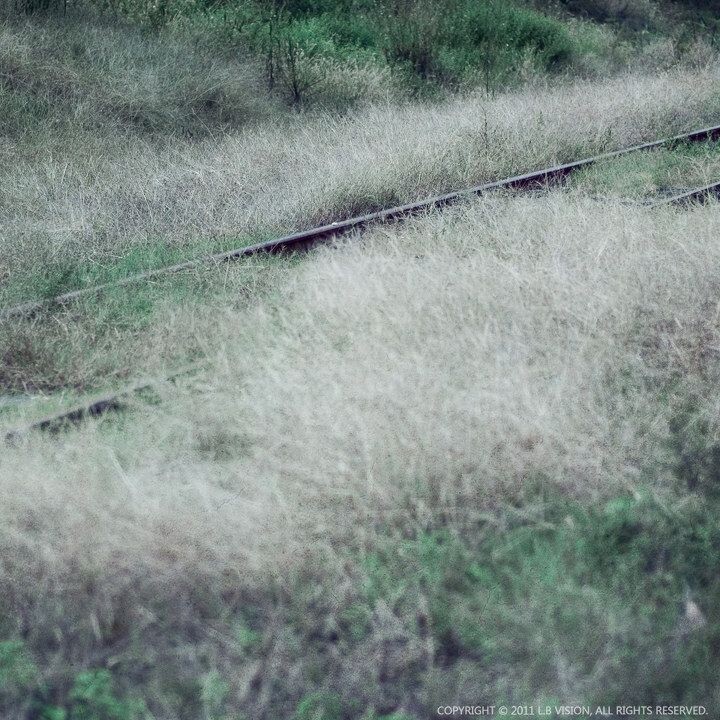 浦口车站<br />
一段铁轨浸没在荒草中。。。