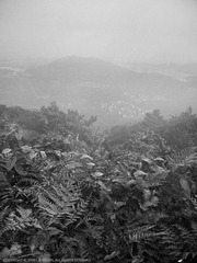 P1050668