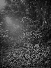 P1050741e