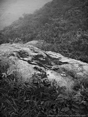 P1050757