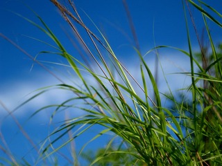 P6040257