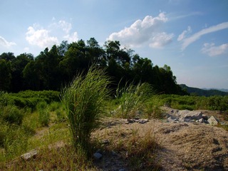 P6040317