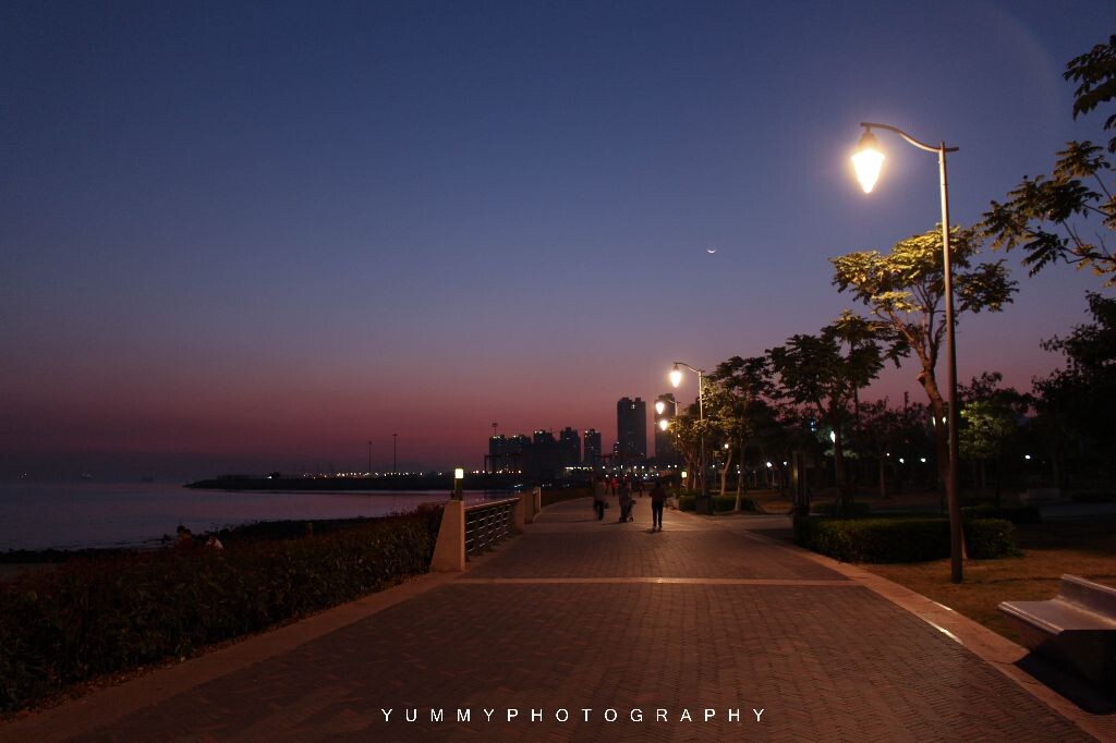 夜晚的深圳湾公园，有星星，有月亮，还有潮湿的带着淡淡腥味的海风。