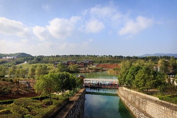 IMG_2186-1