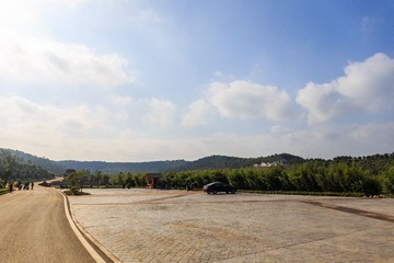 IMG_2187-1